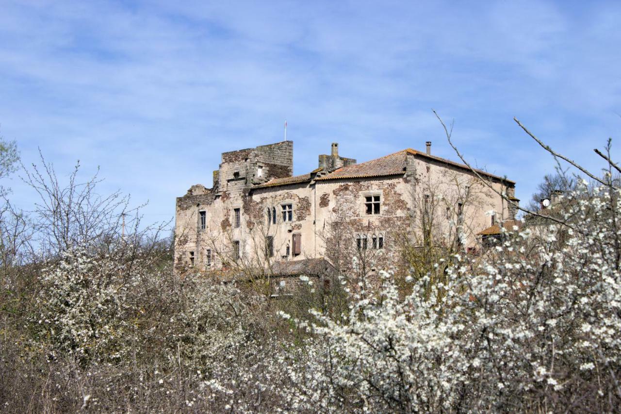 Marnhagues-et-Latour Chateau De Latour Sur Sorgue מראה חיצוני תמונה